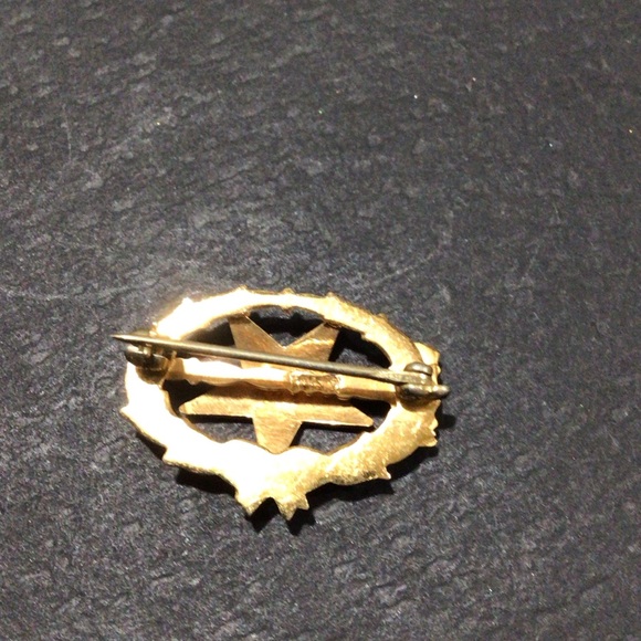 Vintage Order of the Eastern Star Lapel Enamel Pin, Past Matron Jewel - Picture 2 of 3